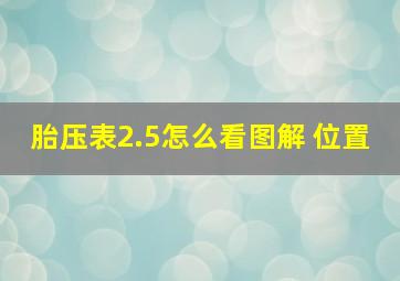 胎压表2.5怎么看图解 位置